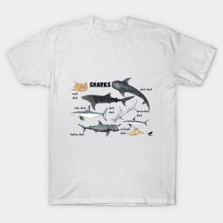 Sharks of the world T-Shirt